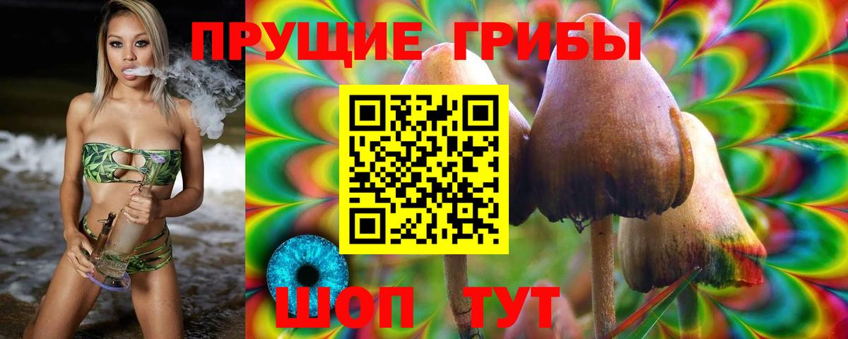 Псилоцибиновые грибы GOLDEN TEACHER  Вход с VPN  Нефтеюганск 